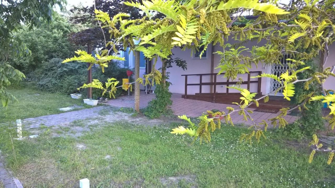Rose Canine B&B Cesenatico Exterior photo