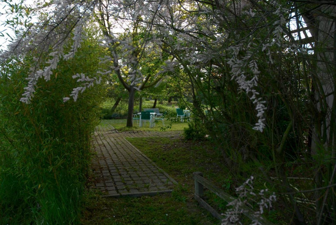 Rose Canine B&B Cesenatico Exterior photo