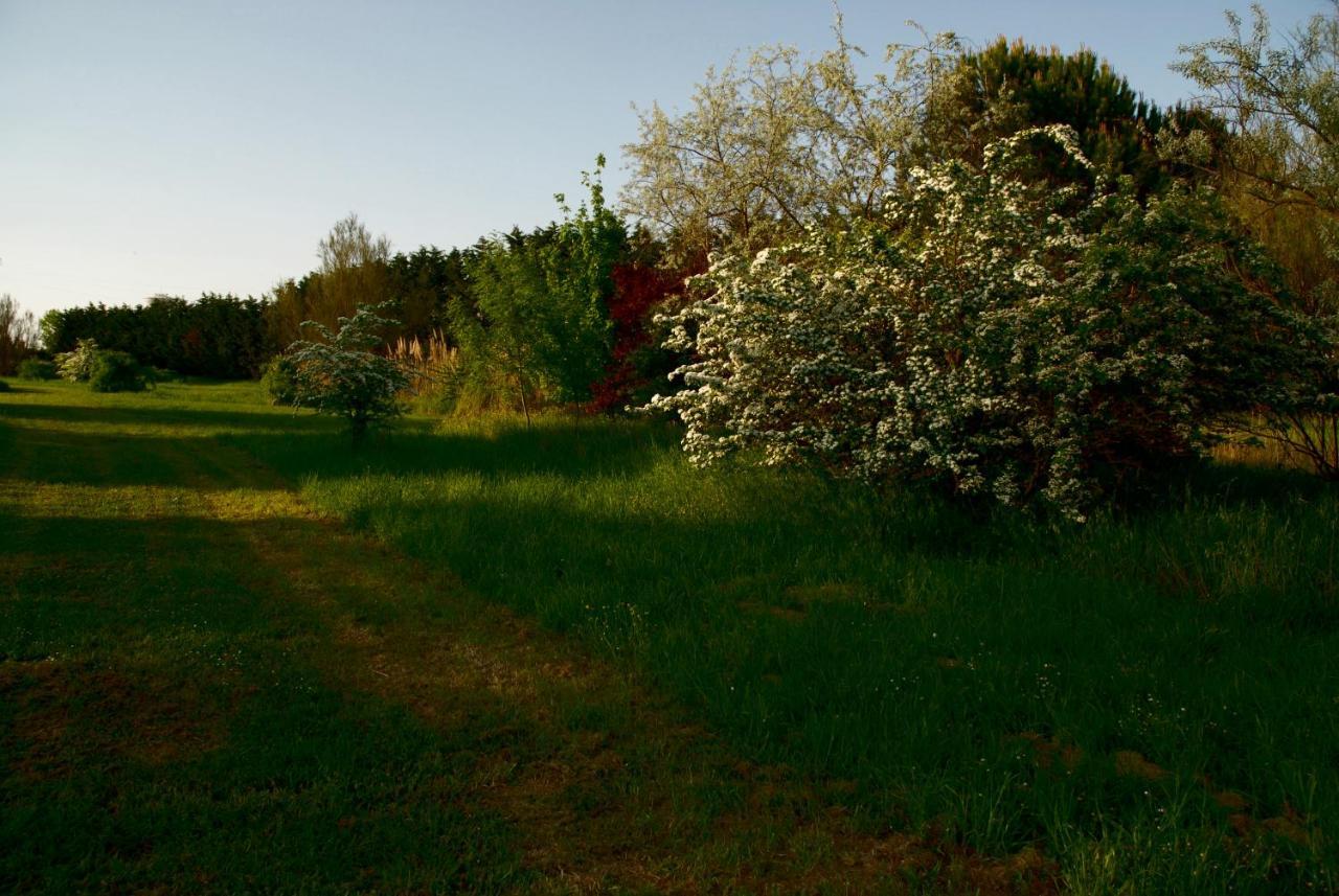 Rose Canine B&B Cesenatico Exterior photo