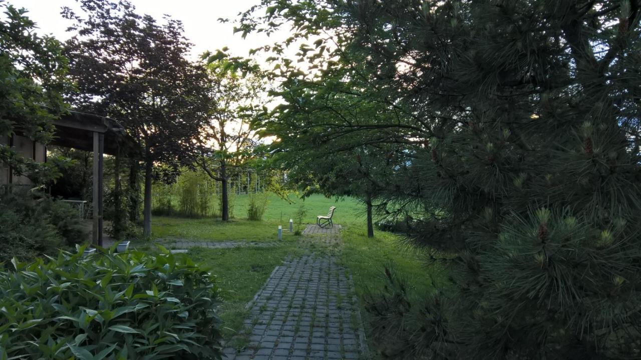 Rose Canine B&B Cesenatico Exterior photo