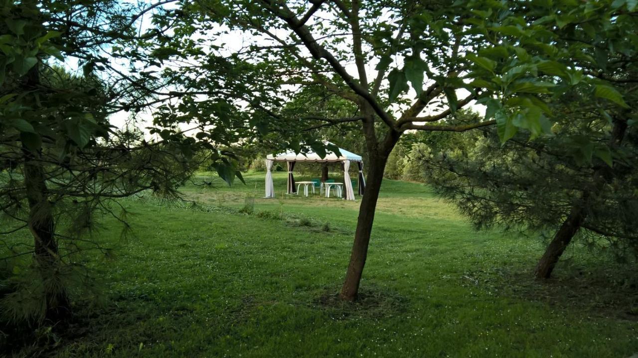 Rose Canine B&B Cesenatico Exterior photo